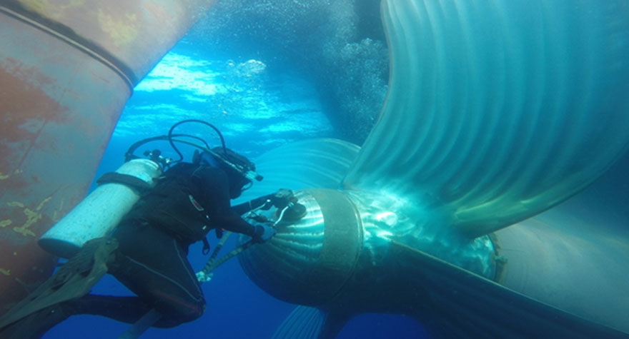 Underwater Maintenance